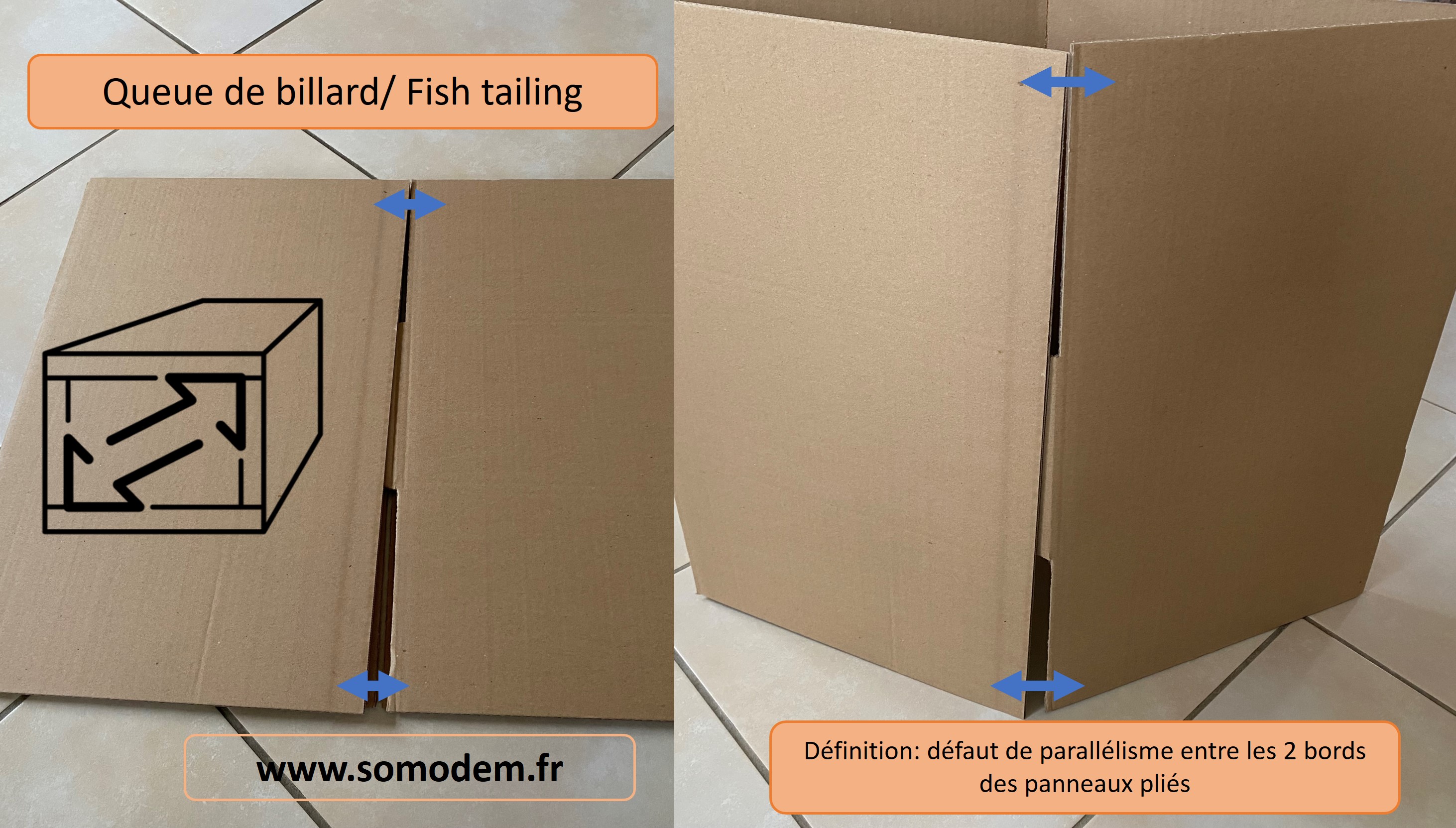 https://www.somodem.fr/web/IMG/jpg/queue_de_billard_-_fish_tailing.jpg